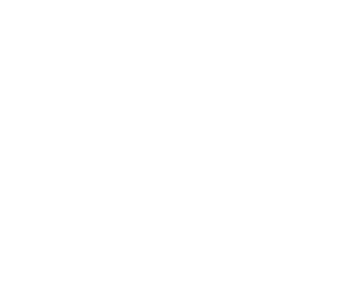 Verdi Living Inc.